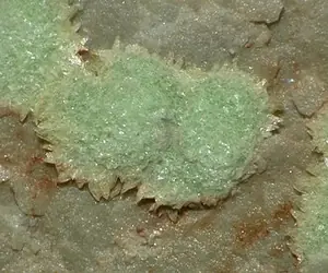 Ejemplar de abernathyita