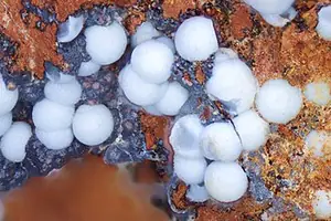Ejemplar de arsenogoyazita