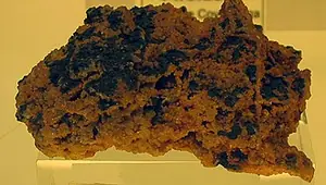 Ejemplar de asbolana