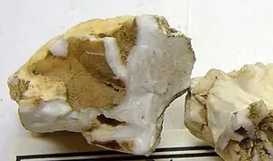 Ejemplar de bakerita