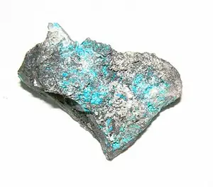 Ejemplar de caracolita