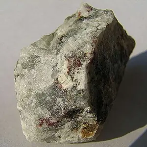 Ejemplar de celsiana