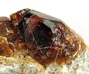 Ejemplar de condrodita