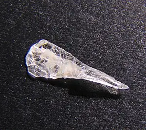 Ejemplar de diaoyudaoíta