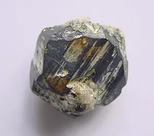Ejemplar de djurleita