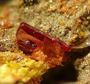 Ejemplar de fenicocroíta