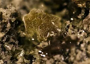 Ejemplar de flogopita