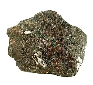 Ejemplar de galita