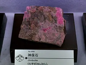 Ejemplar de jimboita