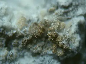 Ejemplar de lafossaíta