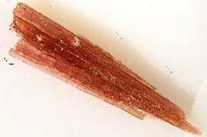 Ejemplar de magbasita