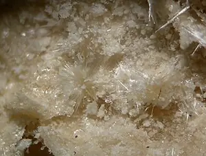 Ejemplar de mascagnita