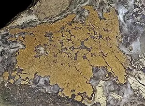 Ejemplar de niquelina