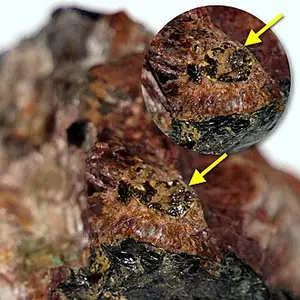 Ejemplar de obruchevita