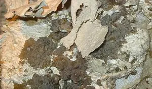 Ejemplar de palygorskita
