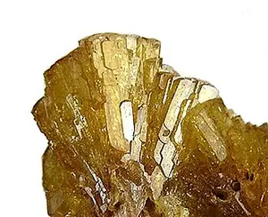 Ejemplar de paradamina