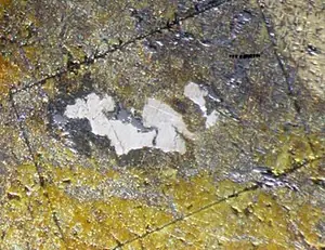 Ejemplar de polarita