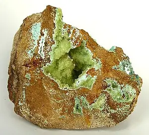 Ejemplar de senegalita