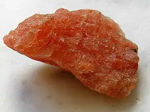 Ejemplar de silvina
