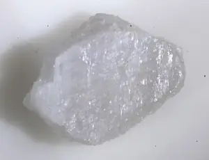 Ejemplar de suanita