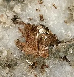 Ejemplar de switzerita