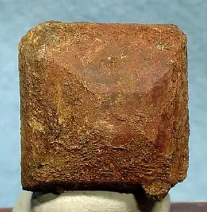 Ejemplar de torita