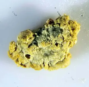 Ejemplar de tugarinovita