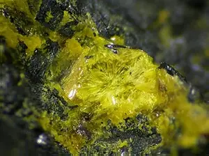 Ejemplar de uranopilita