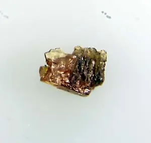 Ejemplar de zimbabweíta